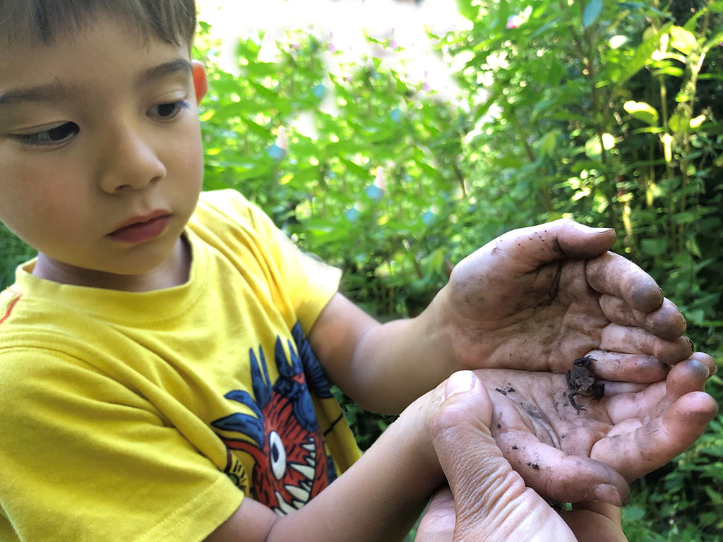 boy holding tiny frog
